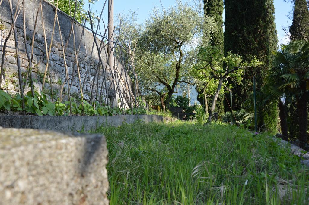 Villa Arco Climbing Exterior foto