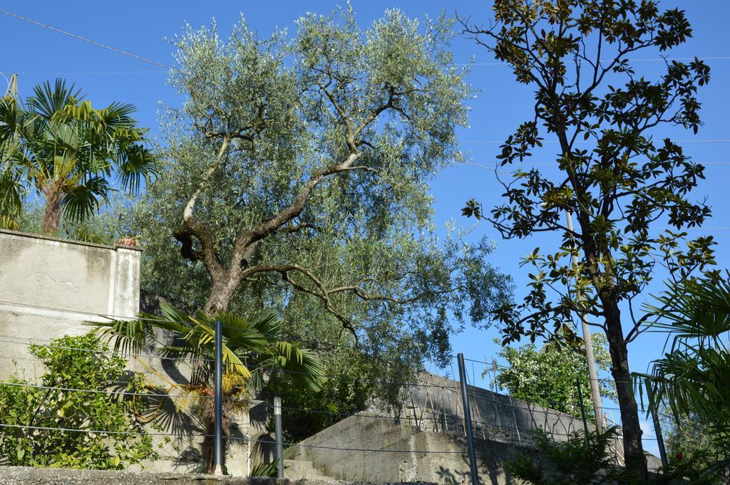 Villa Arco Climbing Exterior foto