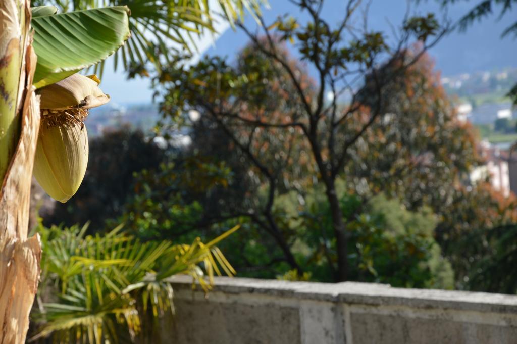 Villa Arco Climbing Exterior foto